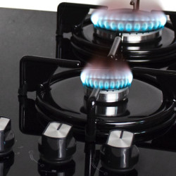 Anafe Tokyo 2 Gas + 2 Eléctricas | Enrique Matalon S.A. | Vidrio Templado y Encendido Eléctrico